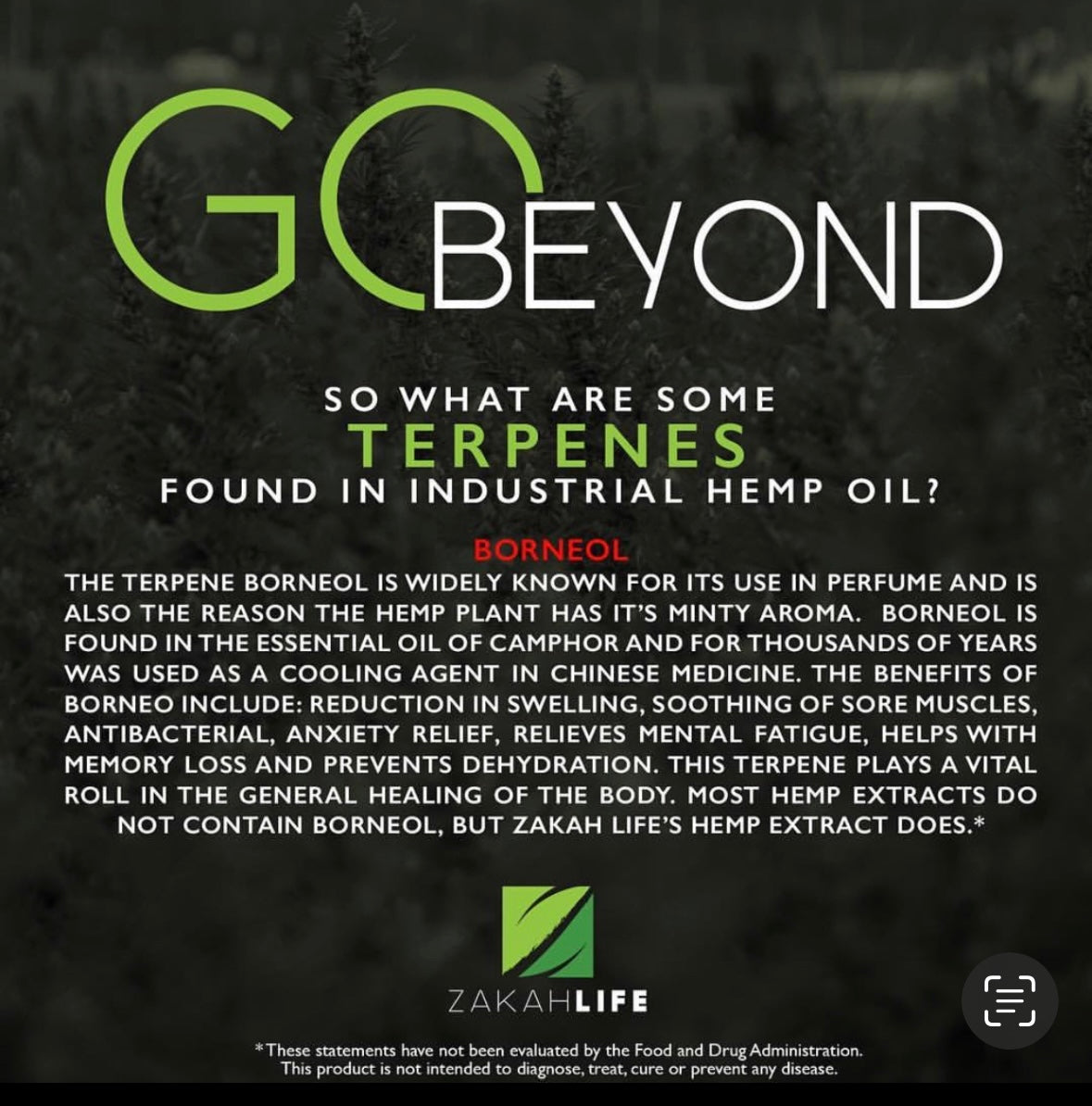 UNVEILING THE POWER OF BORNEOL: ZAKAH LIFE® CBD'S GO BEYOND GUIDE TO T ...