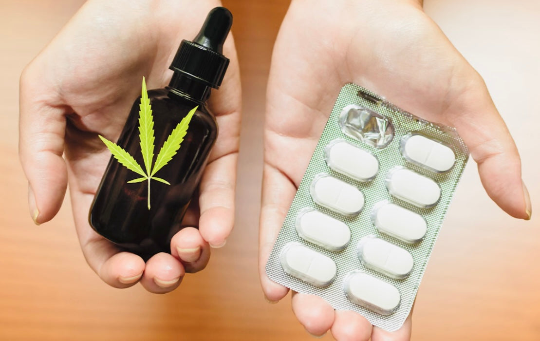 Can I Take CBD Oil with Medications?: The truth about CBD Oil and Medications explained